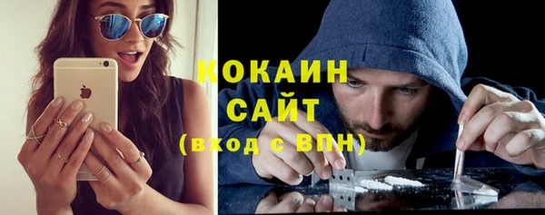 винт Бородино