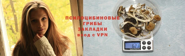 винт Бородино