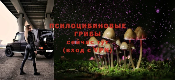 spice Верхний Тагил