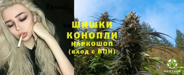 винт Бородино