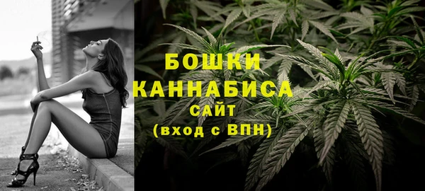 ПСИЛОЦИБИНОВЫЕ ГРИБЫ Верея