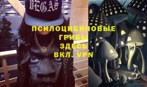 тгк Бронницы